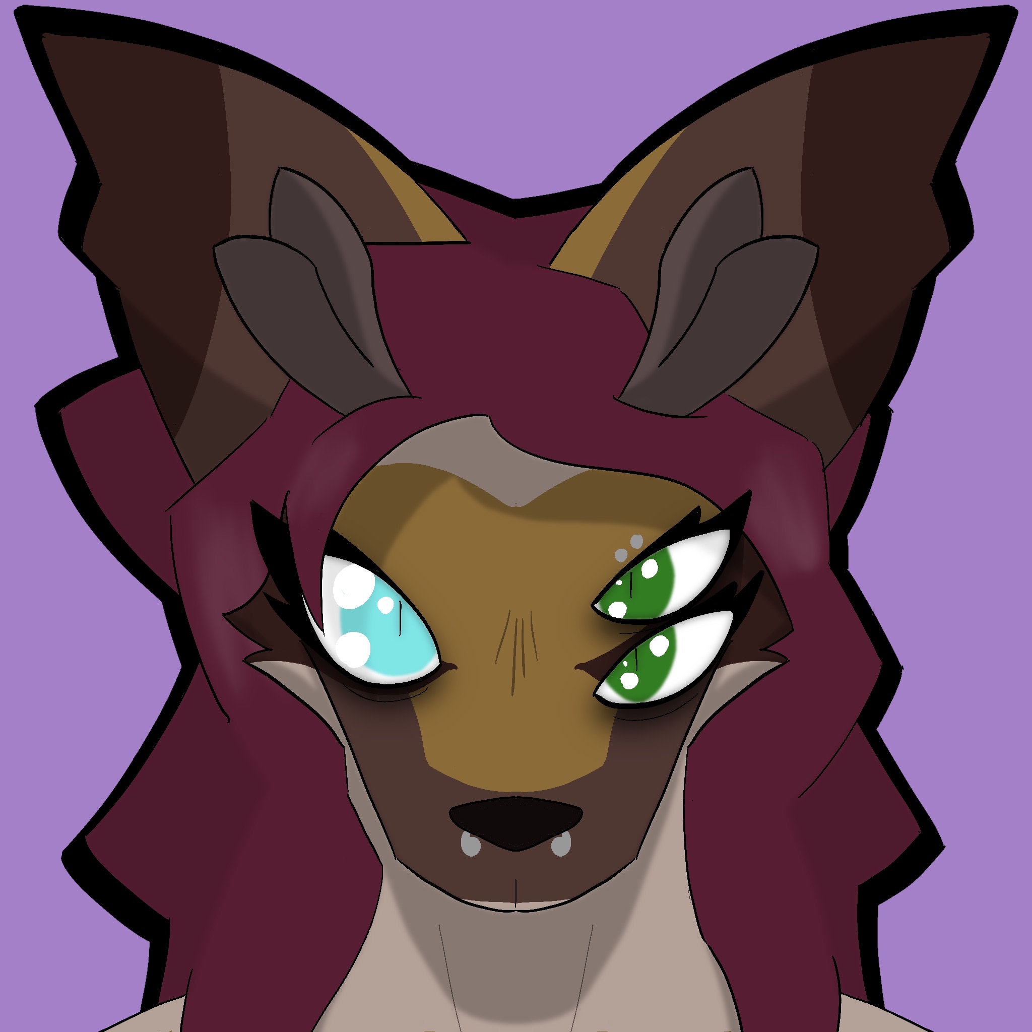Jodie the Coyote